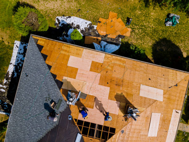 Best Roof Repair Services  in Mill City, OR
