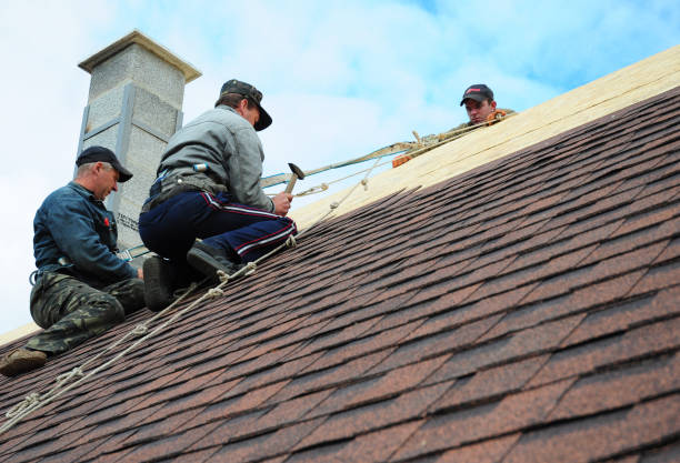 Best Roof Gutter Cleaning  in Mill City, OR